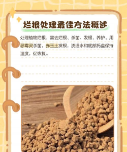 锯末不发酵直接养花,小心烧根烂根,这些要点要记牢 锯末不发酵直接养花,小心烧根烂根,这些要点要记牢