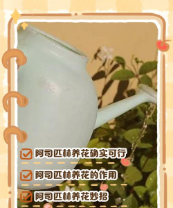 阿司匹林养花,正确使用方法,让植物生长更旺盛 阿司匹林养花,正确使用方法,让植物生长更旺盛