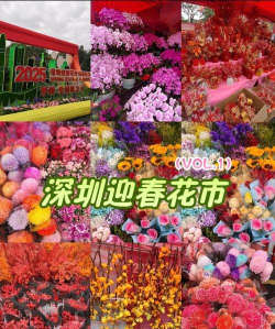深圳花卉市场批发市场,货源丰富多样,价格实惠透明 深圳花卉市场批发市场,货源丰富多样,价格实惠透明