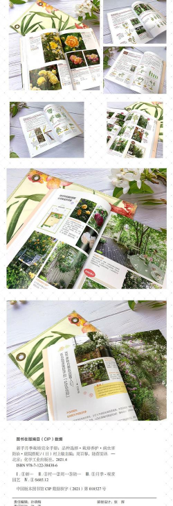 养花的书,新手入门,实用推荐 养花的书,新手入门,实用推荐