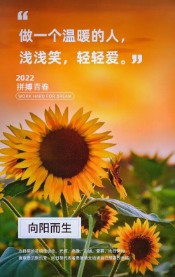 养花人的梦,从播种到绽放,每一步都充满期待 养花人的梦,从播种到绽放,每一步都充满期待