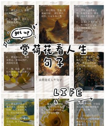 养花人生感悟,看花开花落,品生活滋味 养花人生感悟,看花开花落,品生活滋味