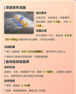 塘角鱼养殖技术,掌握关键要点,实现高效养殖 塘角鱼养殖技术,掌握关键要点,实现高效养殖