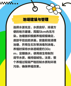 一亩黑鱼养殖成本,投入多少才划算,新手必看指南 一亩黑鱼养殖成本,投入多少才划算,新手必看指南