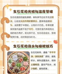 养花碎石,改善土壤,提升植物生长 养花碎石,改善土壤,提升植物生长