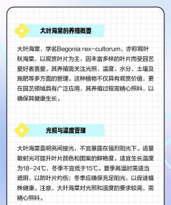 大叶海棠花的养殖方法,轻松上手,花开不断 大叶海棠花的养殖方法,轻松上手,花开不断