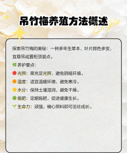 吊竹梅的养殖方法和注意事项,轻松上手,避免常见问题 吊竹梅的养殖方法和注意事项,轻松上手,避免常见问题