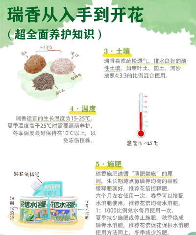 苏州花卉,选购指南,养护技巧 苏州花卉,选购指南,养护技巧