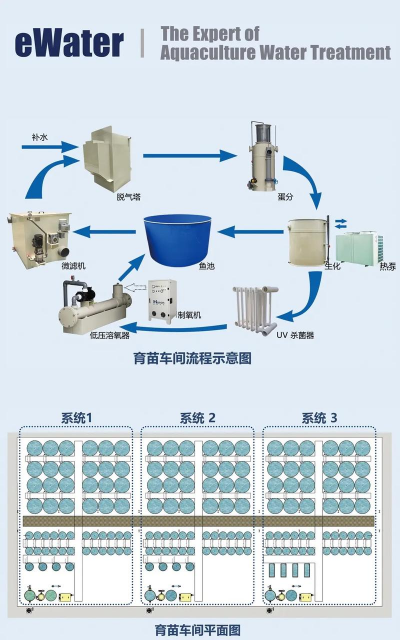 循环水养殖系统,提升养殖效率,降低环境影响 循环水养殖系统,提升养殖效率,降低环境影响