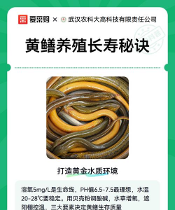 养殖泥鳅黄鳝,掌握关键技巧,实现稳定增收 养殖泥鳅黄鳝,掌握关键技巧,实现稳定增收