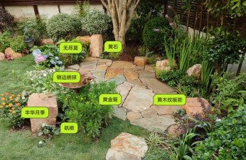 养花之家,新手入门指南,轻松打造小花园 养花之家,新手入门指南,轻松打造小花园