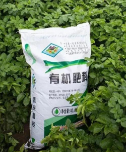 牛粪养花好吗,肥力如何,使用注意什么 牛粪养花好吗,肥力如何,使用注意什么