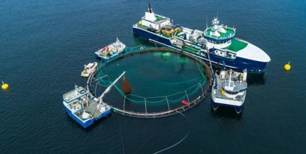 养殖工船,海上养殖新方式,高效利用海洋资源 养殖工船,海上养殖新方式,高效利用海洋资源