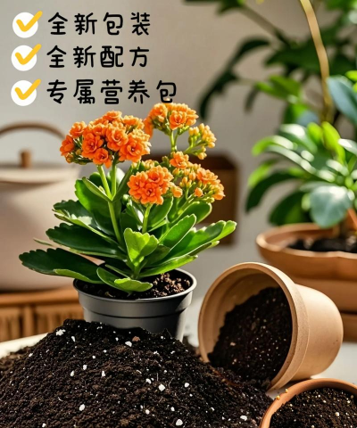 养花用什么,选对土壤,用好肥料 养花用什么,选对土壤,用好肥料