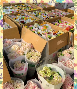 批发花卉,选对渠道,轻松省钱 批发花卉,选对渠道,轻松省钱