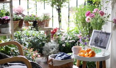 唯美花卉,点亮生活,提升居家氛围 唯美花卉,点亮生活,提升居家氛围