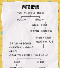 中二少女养花记,新手入门指南,轻松搞定花草 中二少女养花记,新手入门指南,轻松搞定花草