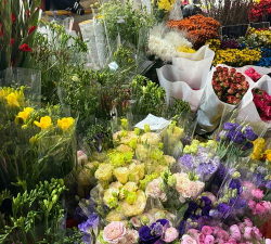 昆明花卉市场,鲜花种类多,价格也实惠 昆明花卉市场,鲜花种类多,价格也实惠