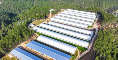 54个特种养殖项目,市场前景广阔,适合创业选择 54个特种养殖项目,市场前景广阔,适合创业选择