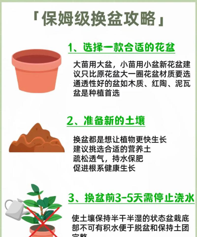 花卉换盆,时机把握,操作要点 花卉换盆,时机把握,操作要点