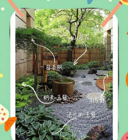 日本花卉,庭院美化首选,种植养护全攻略 日本花卉,庭院美化首选,种植养护全攻略