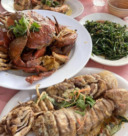 皮皮虾可以人工养殖吗,养殖条件有哪些,技术要点解析 皮皮虾可以人工养殖吗,养殖条件有哪些,技术要点解析