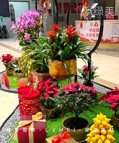 过年花卉,增添节日气氛,营造喜庆氛围 过年花卉,增添节日气氛,营造喜庆氛围