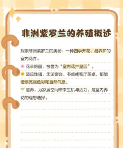 非洲紫罗兰的养殖方法和注意事项,轻松上手,花开不断 非洲紫罗兰的养殖方法和注意事项,轻松上手,花开不断