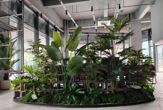 家居花卉,美化空间,提升生活品质 家居花卉,美化空间,提升生活品质