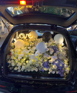 车载养花,轻松打造移动花园,享受旅途芬芳 车载养花,轻松打造移动花园,享受旅途芬芳