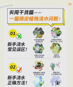 养花的技术,掌握浇水技巧,避免常见误区 养花的技术,掌握浇水技巧,避免常见误区