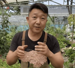 养花匠小齐视频,看什么内容,怎么找资源 养花匠小齐视频,看什么内容,怎么找资源