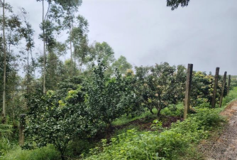 广西养殖场,如何选址,怎样管理 广西养殖场,如何选址,怎样管理