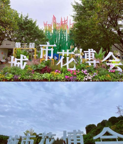 花卉博览会,精彩看点,游玩指南 花卉博览会,精彩看点,游玩指南