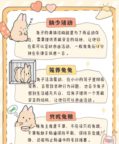 养殖兔子视频,新手入门指南,常见问题解答 养殖兔子视频,新手入门指南,常见问题解答