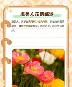 花卉意思,理解植物语言,感受自然之美 花卉意思,理解植物语言,感受自然之美