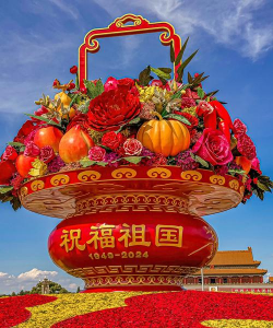 国庆花卉,装点节日氛围,增添喜庆色彩 国庆花卉,装点节日氛围,增添喜庆色彩