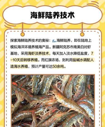 海域养殖,选择合适区域,掌握关键技术 海域养殖,选择合适区域,掌握关键技术