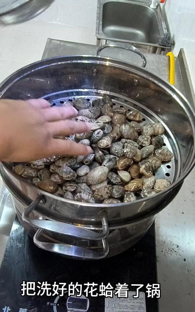 如何养花蛤,掌握关键技巧,轻松实现家庭养殖 如何养花蛤,掌握关键技巧,轻松实现家庭养殖