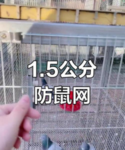 养殖防护网,防止动物逃跑,保护养殖安全 养殖防护网,防止动物逃跑,保护养殖安全