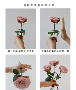 从零开始学养花,新手入门指南,轻松上手不踩坑 从零开始学养花,新手入门指南,轻松上手不踩坑