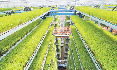 高科技养殖,提升生产效率,优化养殖环境 高科技养殖,提升生产效率,优化养殖环境