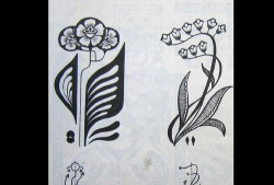 花卉变形,常见原因,解决思路 花卉变形,常见原因,解决思路