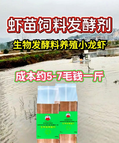 龙虾养殖饲料,选对种类,提升产量 龙虾养殖饲料,选对种类,提升产量