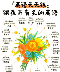养花用英语怎么说,日常交流必备,轻松掌握表达 养花用英语怎么说,日常交流必备,轻松掌握表达