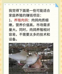 养殖什么最挣钱,市场需求大,风险要看清 养殖什么最挣钱,市场需求大,风险要看清