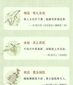 古代花卉,历史渊源,文化传承 古代花卉,历史渊源,文化传承