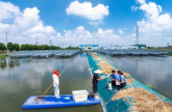 连云港水产养殖,掌握核心方法,提升养殖效益 连云港水产养殖,掌握核心方法,提升养殖效益