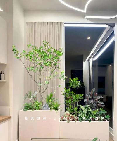 家里养花有什么讲究,新手入门指南,轻松打造绿意空间 家里养花有什么讲究,新手入门指南,轻松打造绿意空间