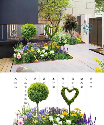 花卉应用,提升生活美感,创造多样场景 花卉应用,提升生活美感,创造多样场景